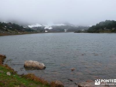 Lagunas de Neila;arbol tejo;rutas cerca de madrid;bosques encantados